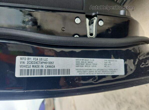 2C3CDXCTXPH613267 2023 DODGE CHARGER Black Widok komory silnika