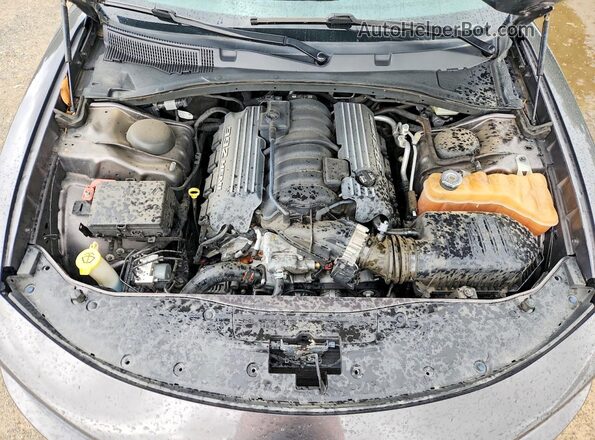 2C3CDXEJ2GH165926 2016 DODGE CHARGER Серый Вид задней части салона