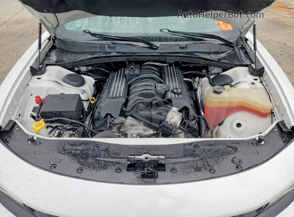 2C3CDXGJ0LH184403 2020 DODGE CHARGER Белый Вид задней части салона