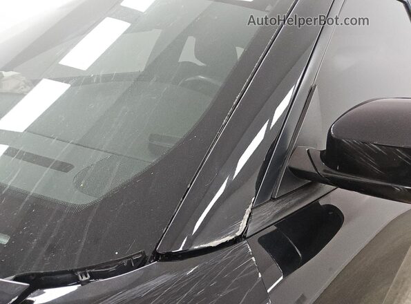 2C3CDXGJ1KH756755 2019 DODGE CHARGER Black 