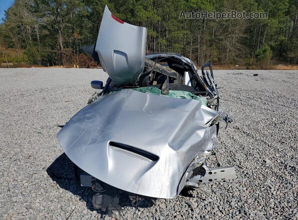 2C3CDXGJ2LH213514 2020 DODGE CHARGER Silver Widok z przodu