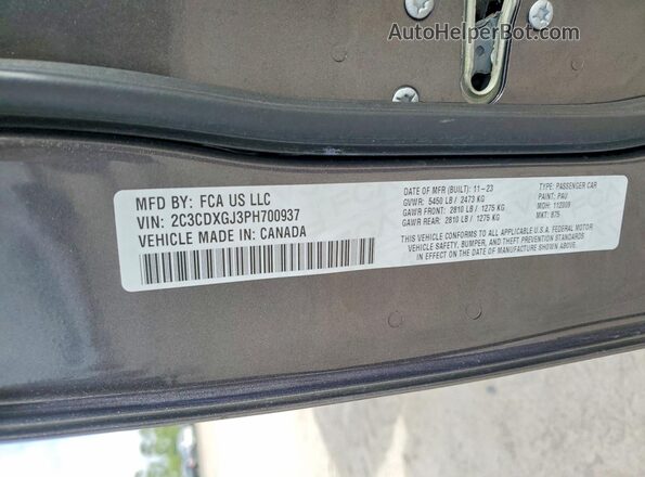 2C3CDXGJ3PH700937 2023 DODGE CHARGER Gray Vista del compartimento del motor