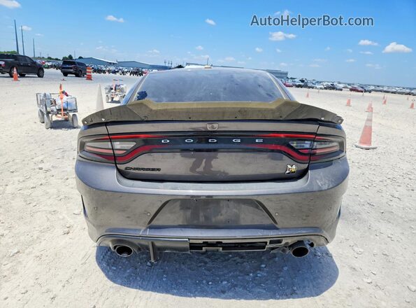 2C3CDXGJ4KH530564 2019 DODGE CHARGER Серый Вид сзади