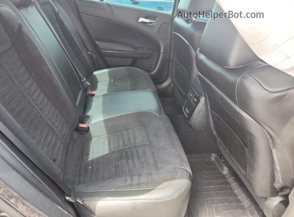 2C3CDXGJ6PH515734 2023 DODGE CHARGER Gray Вид задніх сидінь