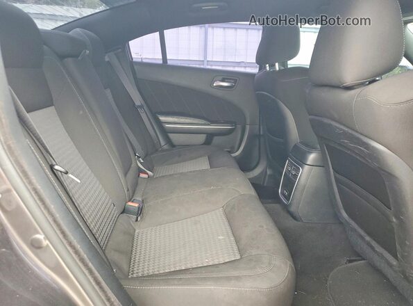 2C3CDXGJ9MH565278 2021 DODGE CHARGER Gray Widok tylnych siedzeń