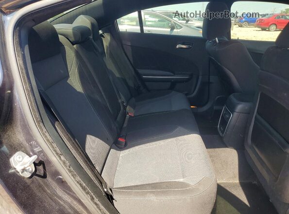 2C3CDXHG0GH233074 2016 DODGE CHARGER Gray Widok tylnych siedzeń