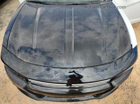 2C3CDXHG1GH354955 2016 DODGE CHARGER Black Vista de la etiqueta del VIN