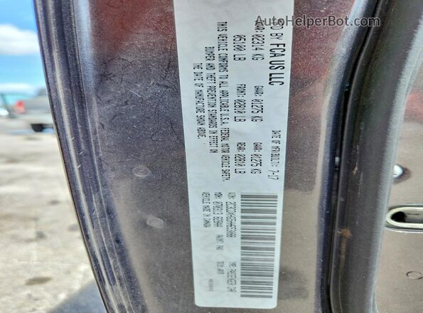 2C3CDXHG5HH653088 2017 DODGE CHARGER Серый Вид наклейки с VIN-кодом