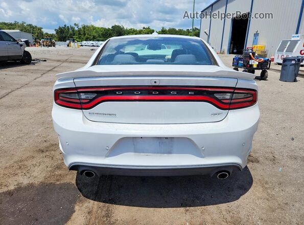 2C3CDXHG7KH684897 2019 DODGE CHARGER White Rear view