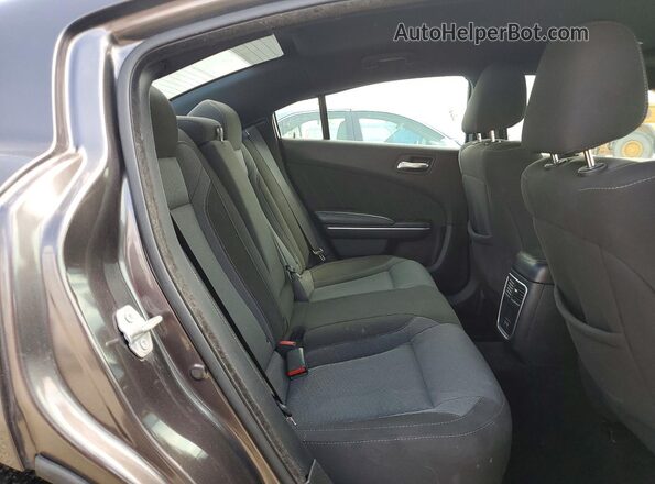 2C3CDXJG3MH515750 2021 DODGE CHARGER Gray Հետևի նստատեղերի տեսք
