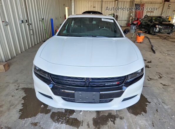 2C3CDXJG7PH541837 2023 DODGE CHARGER White Vista frontal