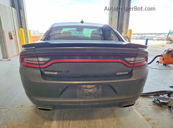 2C3CDXJG9PH657752 2023 DODGE CHARGER Gray უკანა ხედი