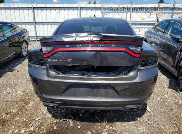 2C3CDXJGXPH567137 2023 DODGE CHARGER Gray Widok z tyłu