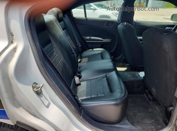 2C3CDXKT3LH141599 2020 DODGE CHARGER Two Tone უკანა სავარძლების ხედი