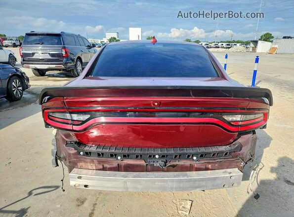 2C3CDXL96PH618373 2023 DODGE CHARGER Brown Widok z tyłu
