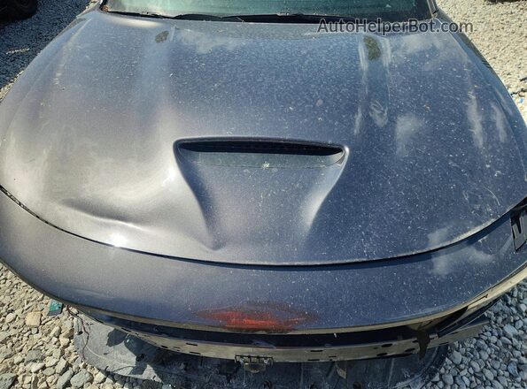 2C3CDXMG6PH511398 2023 DODGE CHARGER Черный Вид задней части салона