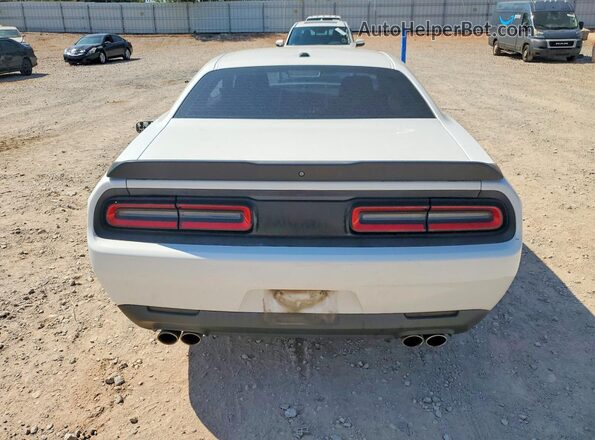 2C3CDZAG7KH691631 2019 DODGE CHALLENGER Белый Вид сзади