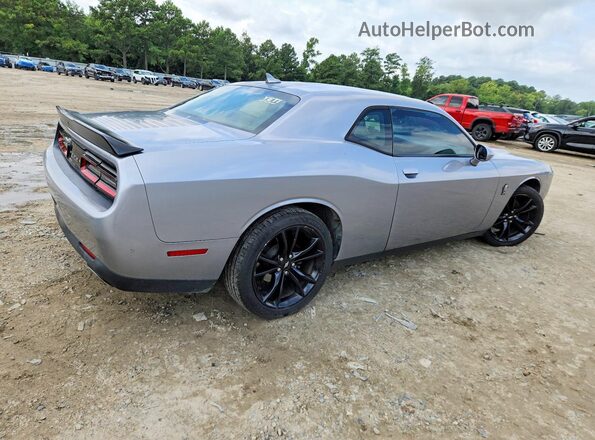 2C3CDZAG9HH636624 2017 DODGE CHALLENGER Silver Задня права чверть