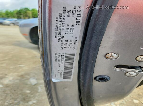 2C3CDZAG9HH636624 2017 DODGE CHALLENGER Silver Вид наклейки з VIN-кодом