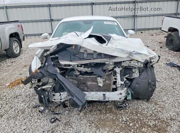 2C3CDZBT6KH677067 2019 DODGE CHALLENGER White VIN կոդի պիտակի տեսք