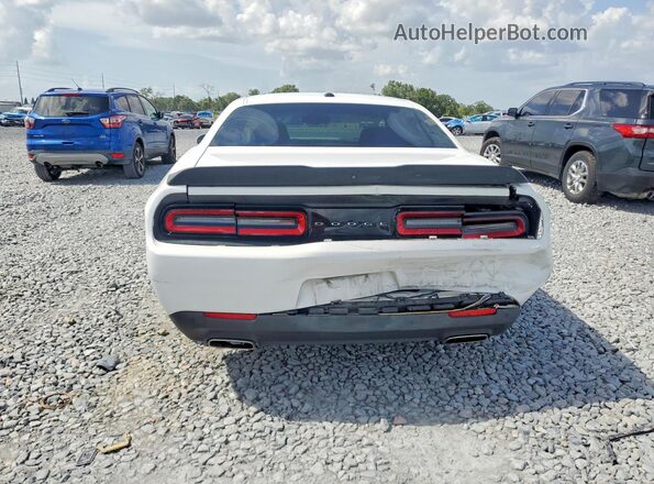 2C3CDZJG5KH557443 2019 DODGE CHALLENGER White Rear view