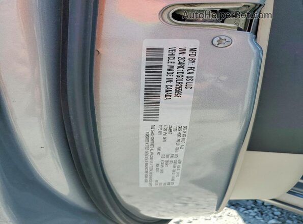 2C4RC1DG0LR265698 2020 CHRYSLER VOYAGER Silver Вид наклейки з VIN-кодом