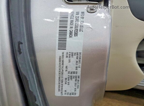2C4RDGCG8LR253655 2020 DODGE GRAND Silver VIN կոդի պիտակի տեսք
