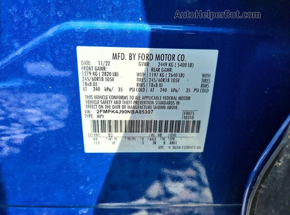 2FMPK4J90NBA85307 2022 FORD EDGE Blue Widok naklejki z numerem VIN