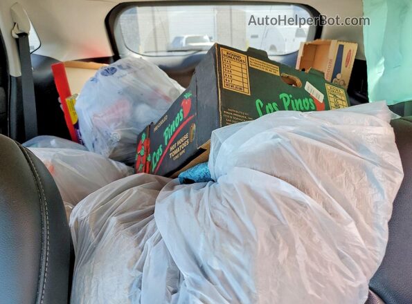 2FMPK4J98LBB31334 2020 FORD EDGE Gray უკანა სავარძლების ხედი