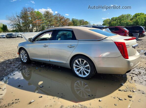 2G61M5S32G9119295 2016 CADILLAC XTS Tan Задня ліва чверть