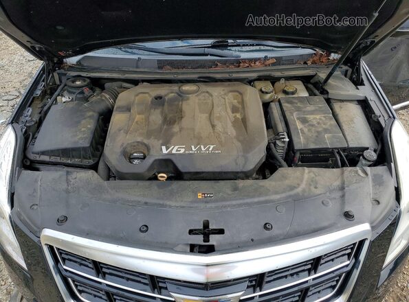 2G61M5S36G9102516 2016 CADILLAC XTS Black Вид задньої частини салону