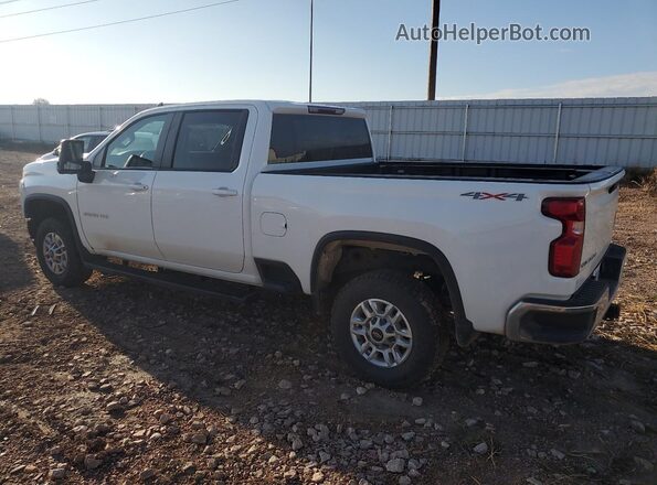 2GC4YNE75P1713231 2023 CHEVROLET SILVERADO Белый Вид сзади