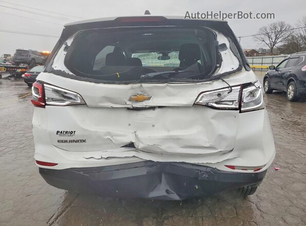 2GNAXHEV1L6111176 2020 CHEVROLET EQUINOX White Rear view