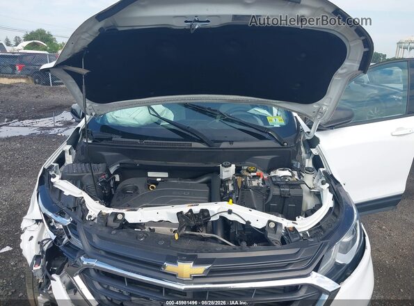 2GNAXHEV2J6234806 2018 CHEVROLET EQUINOX White Rear view