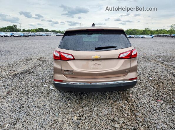 2GNAXJEV4J6161607 2018 CHEVROLET EQUINOX Brown Հետևի տեսք