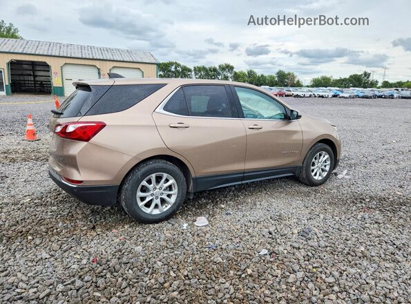 2GNAXJEV4J6161607 2018 CHEVROLET EQUINOX Brown Հետևի աջ