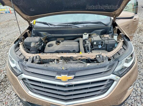 2GNAXJEV4J6161607 2018 CHEVROLET EQUINOX Brown Սալոնի հետևի տեսք