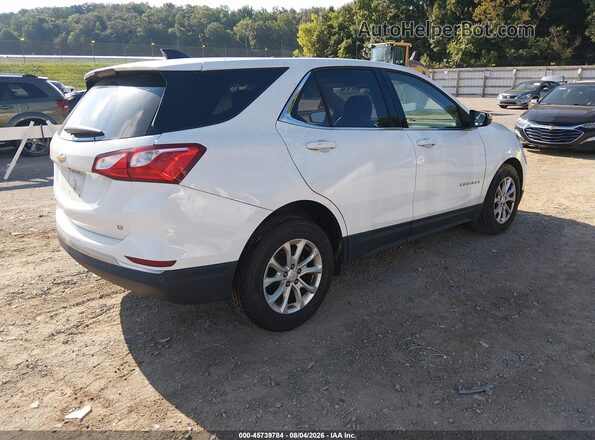2GNAXJEV5K6153260 2019 CHEVROLET EQUINOX White Tył prawy