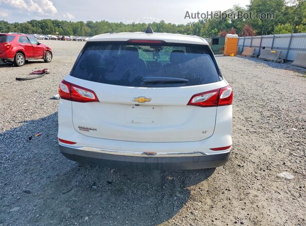2GNAXJEV7K6219677 2019 CHEVROLET EQUINOX White Rear view
