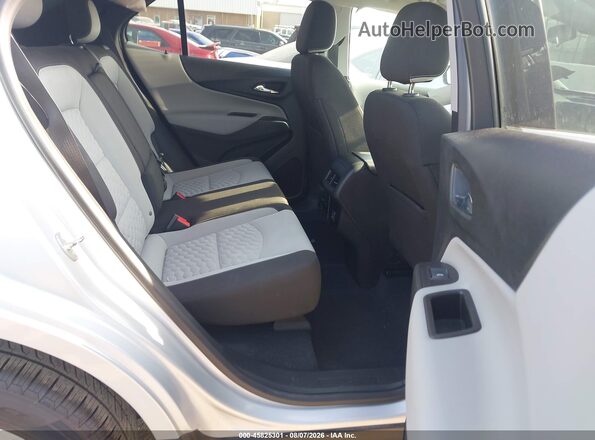 2GNAXJEV8L6172385 2020 CHEVROLET EQUINOX Silver Вид наклейки з VIN-кодом