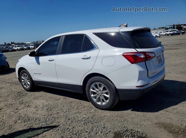 2GNAXJEV8M6134415 2021 CHEVROLET EQUINOX White უკანა მარცხენა