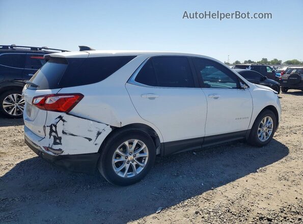 2GNAXJEV8M6134415 2021 CHEVROLET EQUINOX White უკანა მარჯვენა