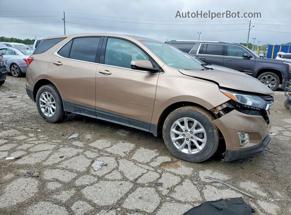 2GNAXKEV8K6230399 2019 CHEVROLET EQUINOX Brown Przód prawy