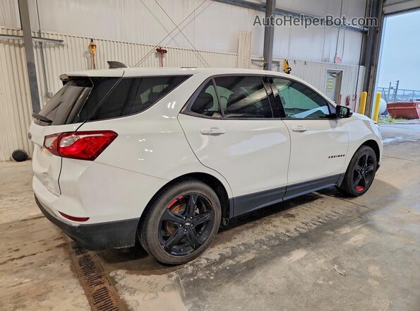 2GNAXLEX1K6233670 2019 CHEVROLET EQUINOX White Задня права чверть