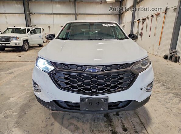 2GNAXLEX1K6233670 2019 CHEVROLET EQUINOX White Вид спереду