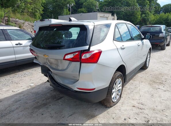 2GNAXSEV4K6107571 2019 CHEVROLET EQUINOX Silver Задня права чверть