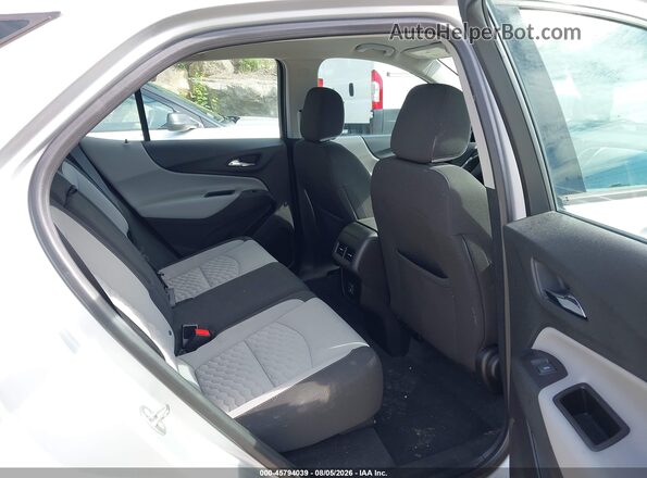 2GNAXSEV4K6107571 2019 CHEVROLET EQUINOX Silver Вид наклейки з VIN-кодом