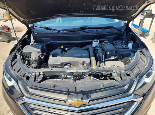 2GNAXTEV9L6199784 2020 CHEVROLET EQUINOX Gray Սալոնի հետևի տեսք