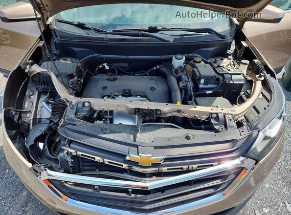 2GNAXTEX4J6311423 2018 CHEVROLET EQUINOX Gold Շարժիչի բաժամունքի տեսք