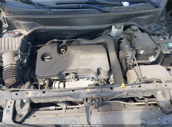 2GNAXUEV4L6219123 2020 CHEVROLET EQUINOX Серый Вид сзади